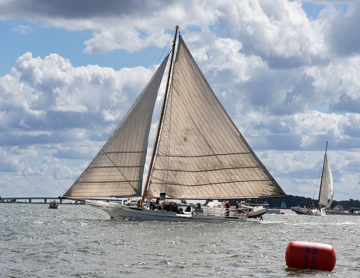 2025 Deal Island Skipjack Races - Rebecca T Ruark Finishes