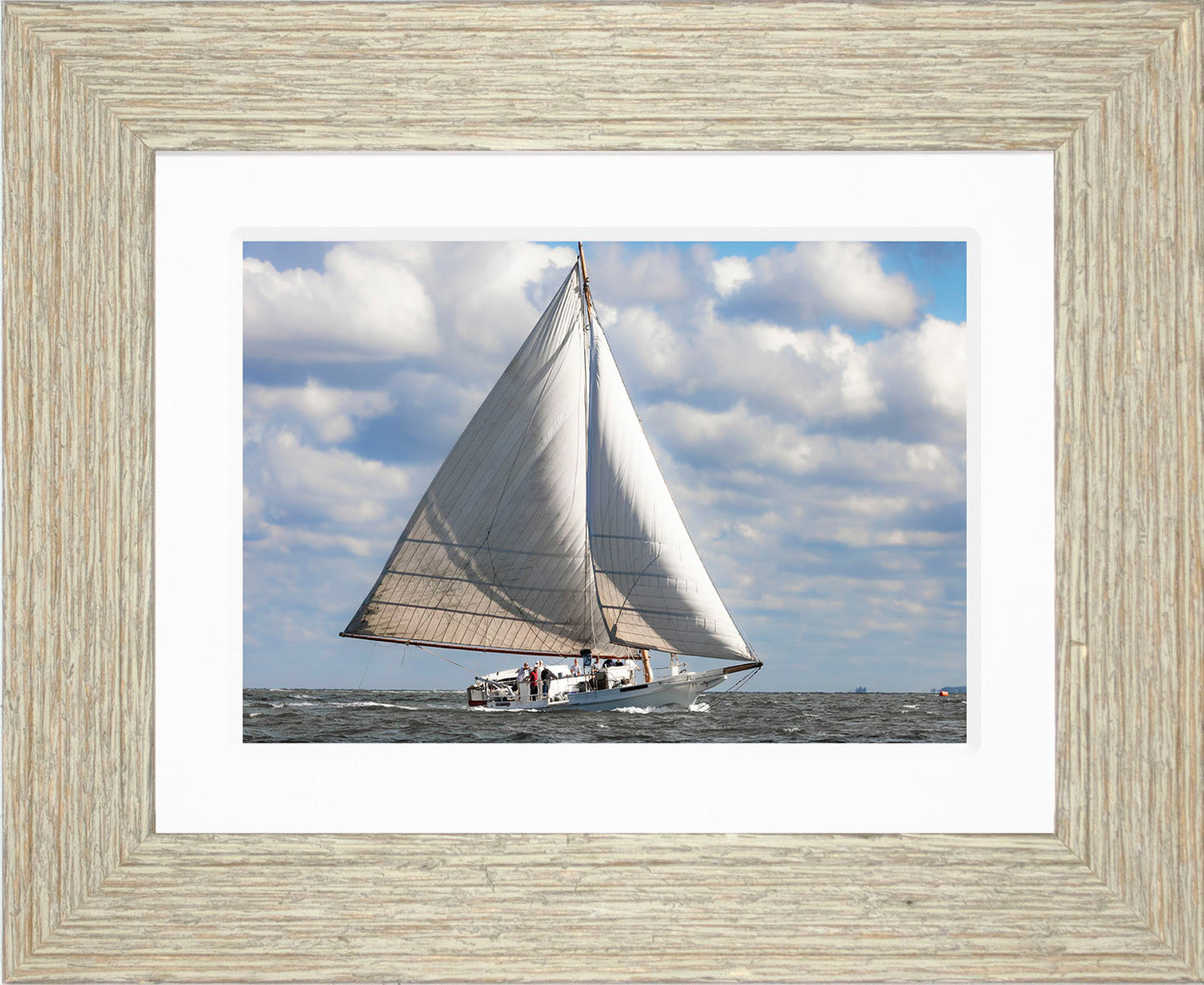 2025 Deal Island Skipjack Races - The Ruark