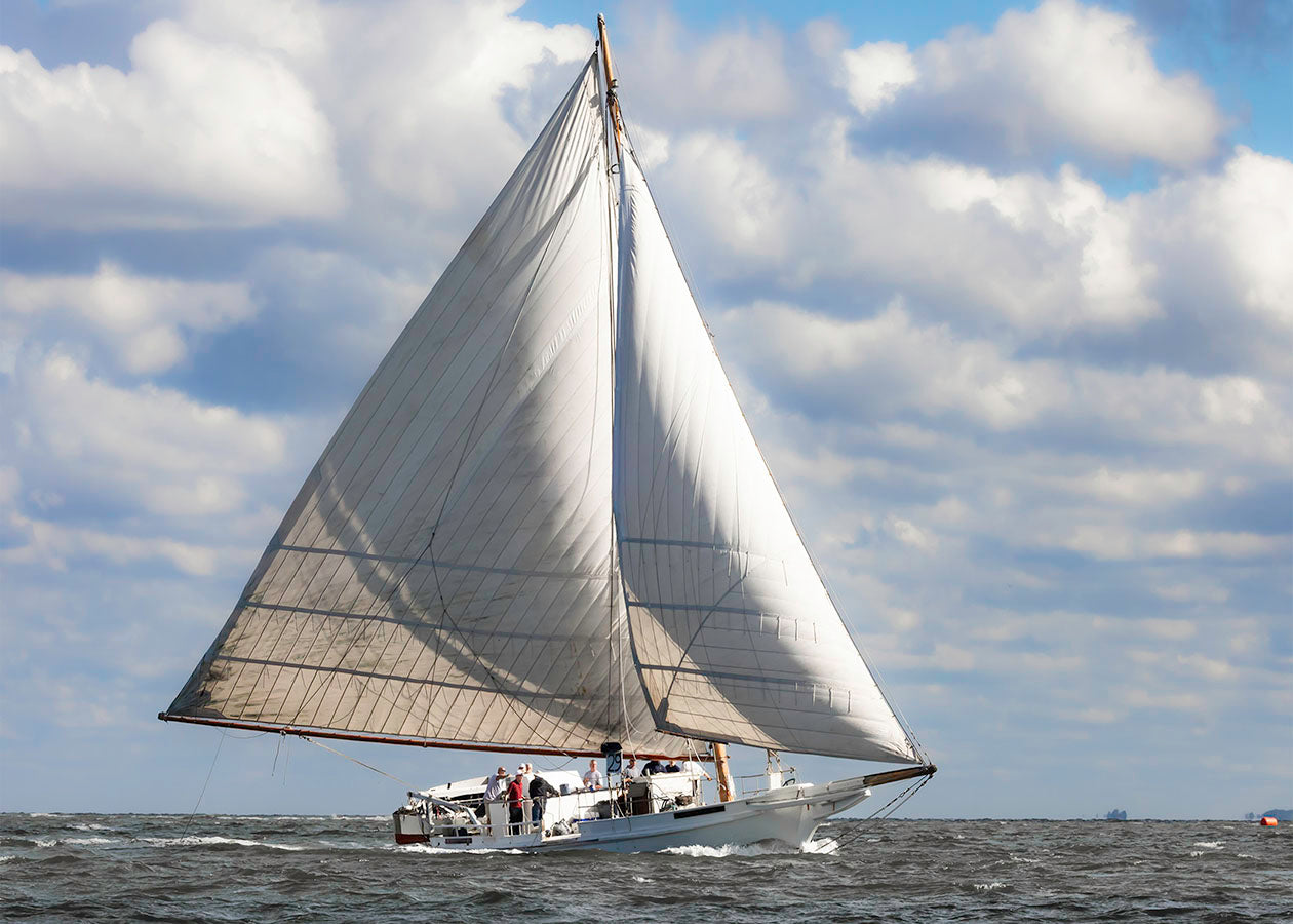 2025 Deal Island Skipjack Races - The Ruark