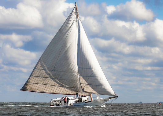 2025 Deal Island Skipjack Races - The Ruark