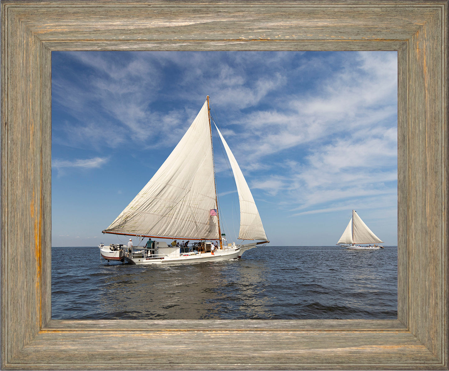2025 Sandy Point Skipjack Races - Ruark and Rosie
