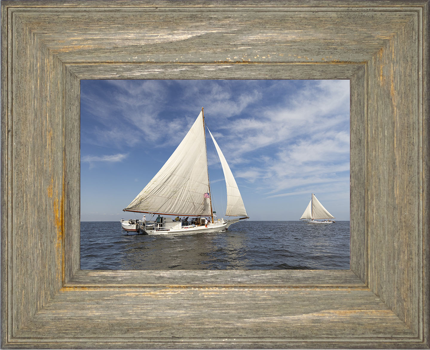 2025 Sandy Point Skipjack Races - Ruark and Rosie