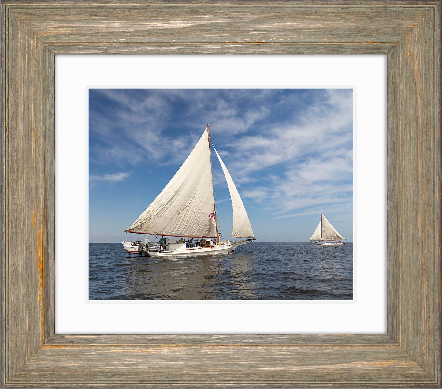 2025 Sandy Point Skipjack Races - Ruark and Rosie