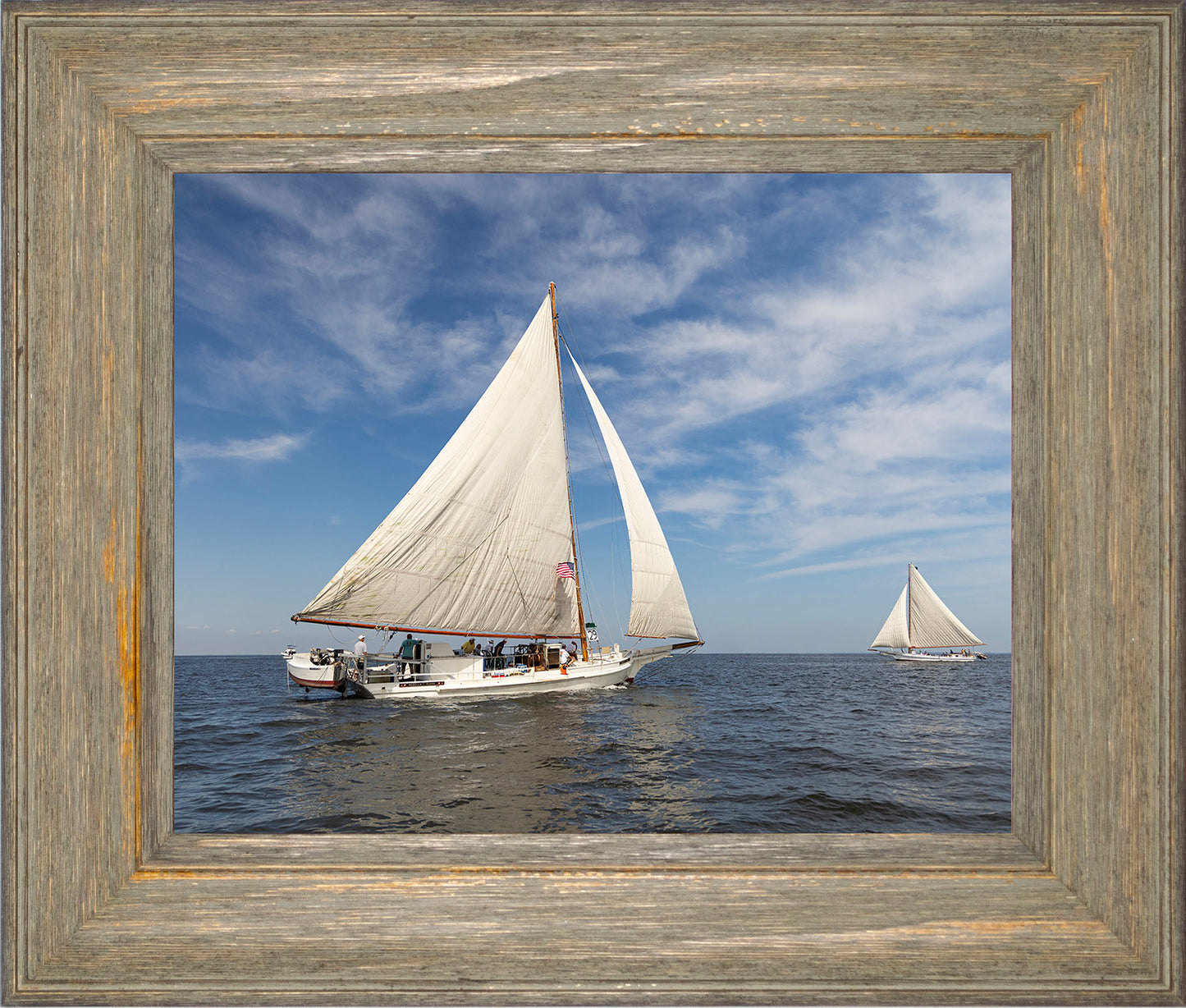 2025 Sandy Point Skipjack Races - Ruark and Rosie