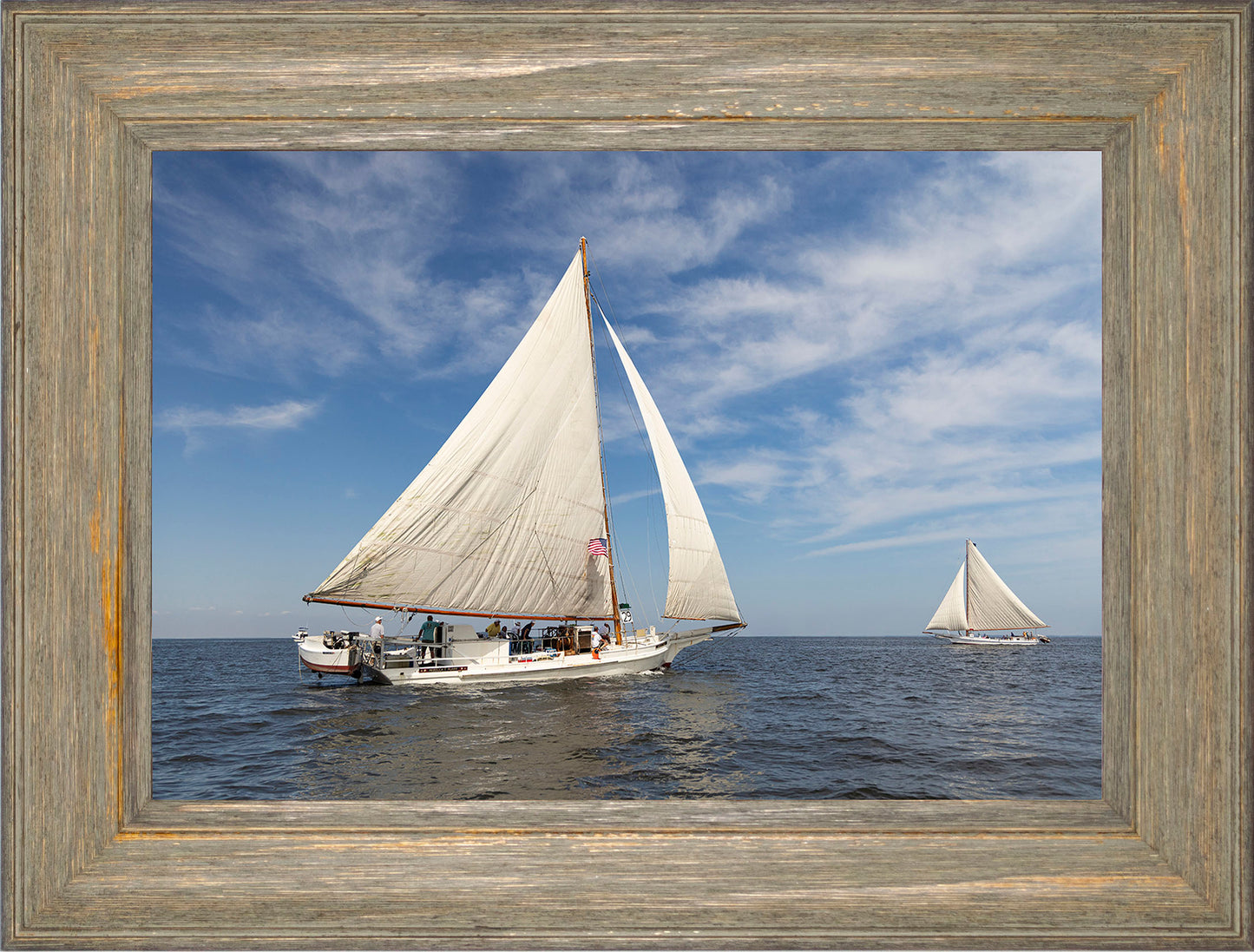 2025 Sandy Point Skipjack Races - Ruark and Rosie