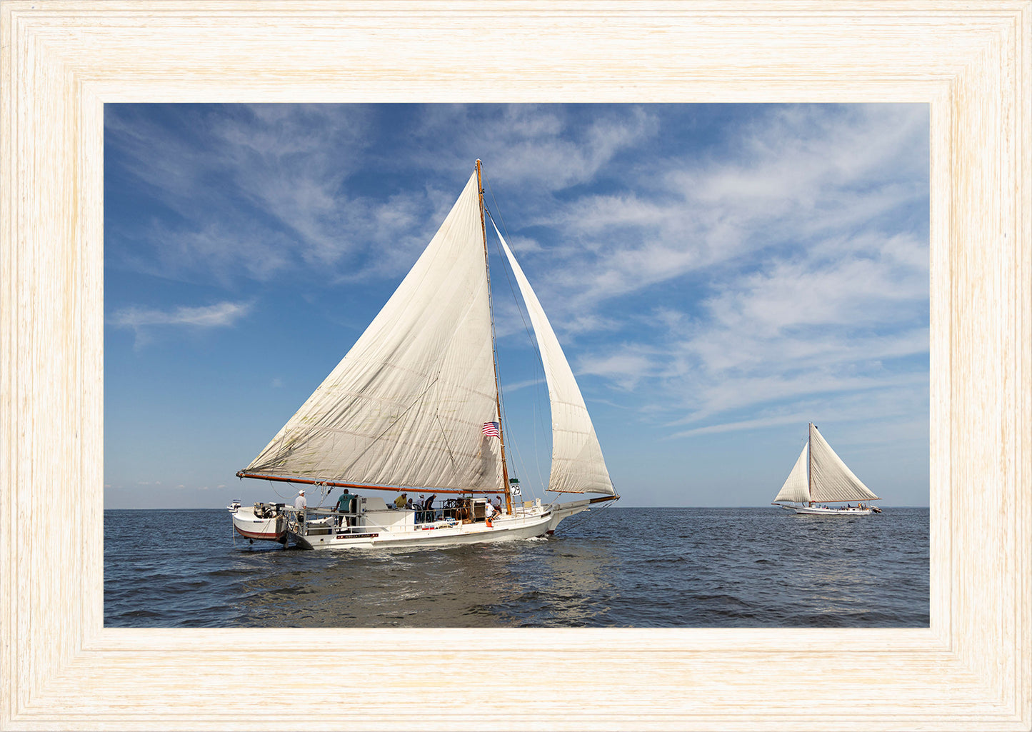 2025 Sandy Point Skipjack Races - Ruark and Rosie