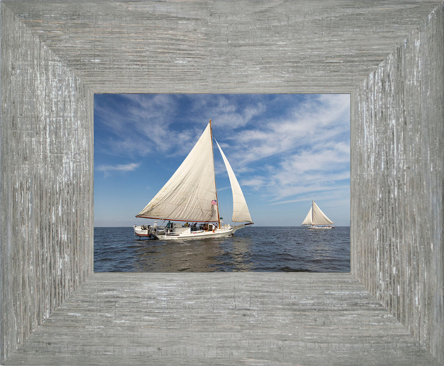 2025 Sandy Point Skipjack Races - Ruark and Rosie