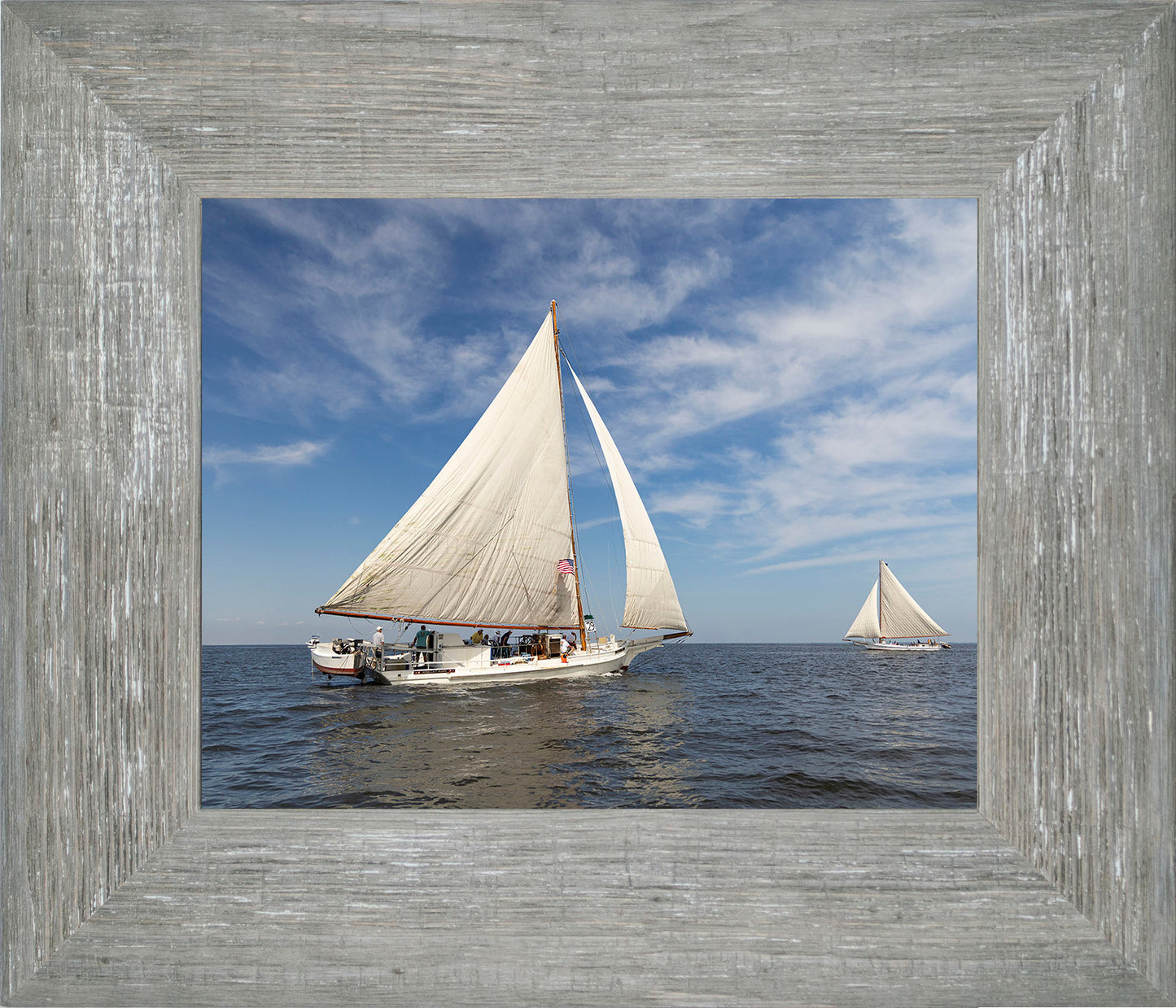 2025 Sandy Point Skipjack Races - Ruark and Rosie