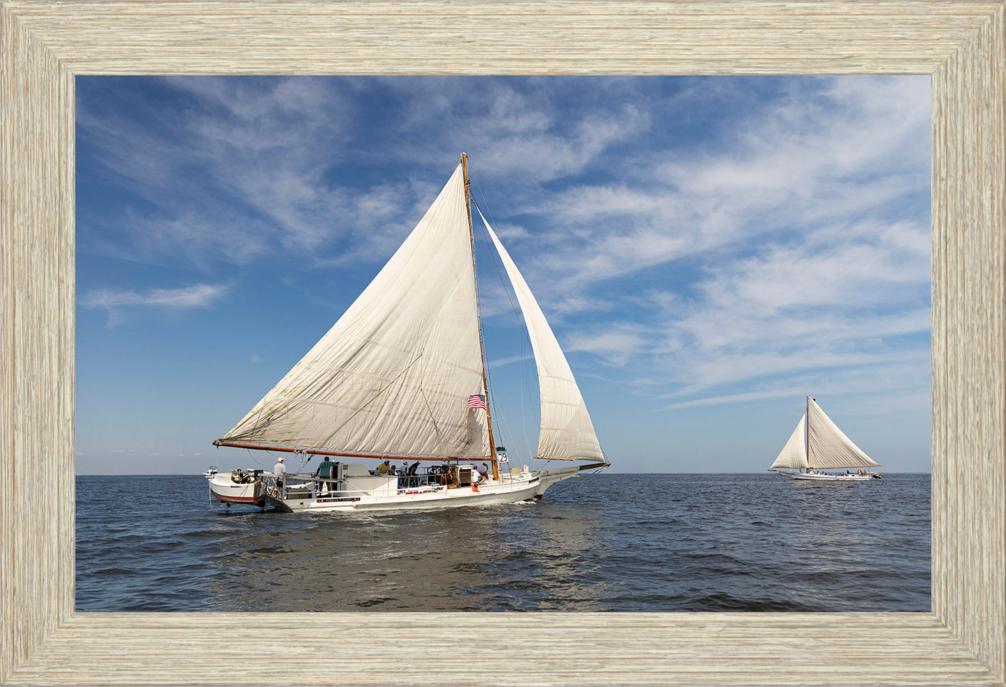 2025 Sandy Point Skipjack Races - Ruark and Rosie