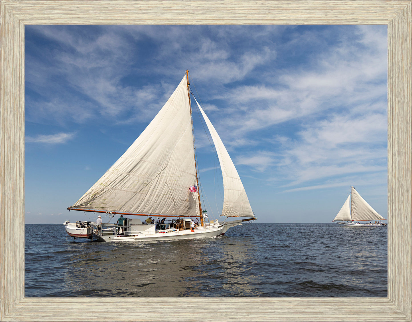 2025 Sandy Point Skipjack Races - Ruark and Rosie