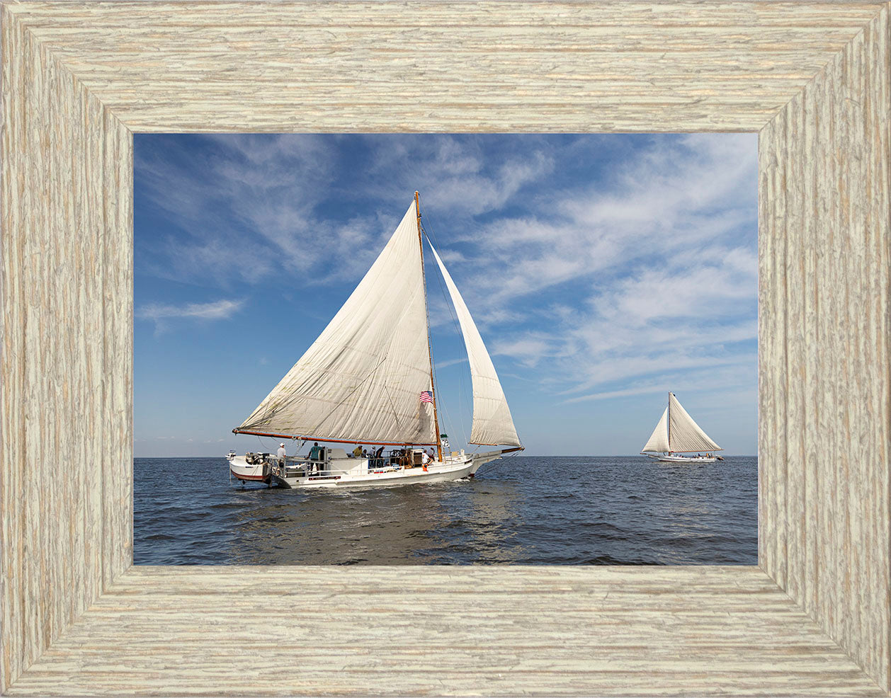 2025 Sandy Point Skipjack Races - Ruark and Rosie
