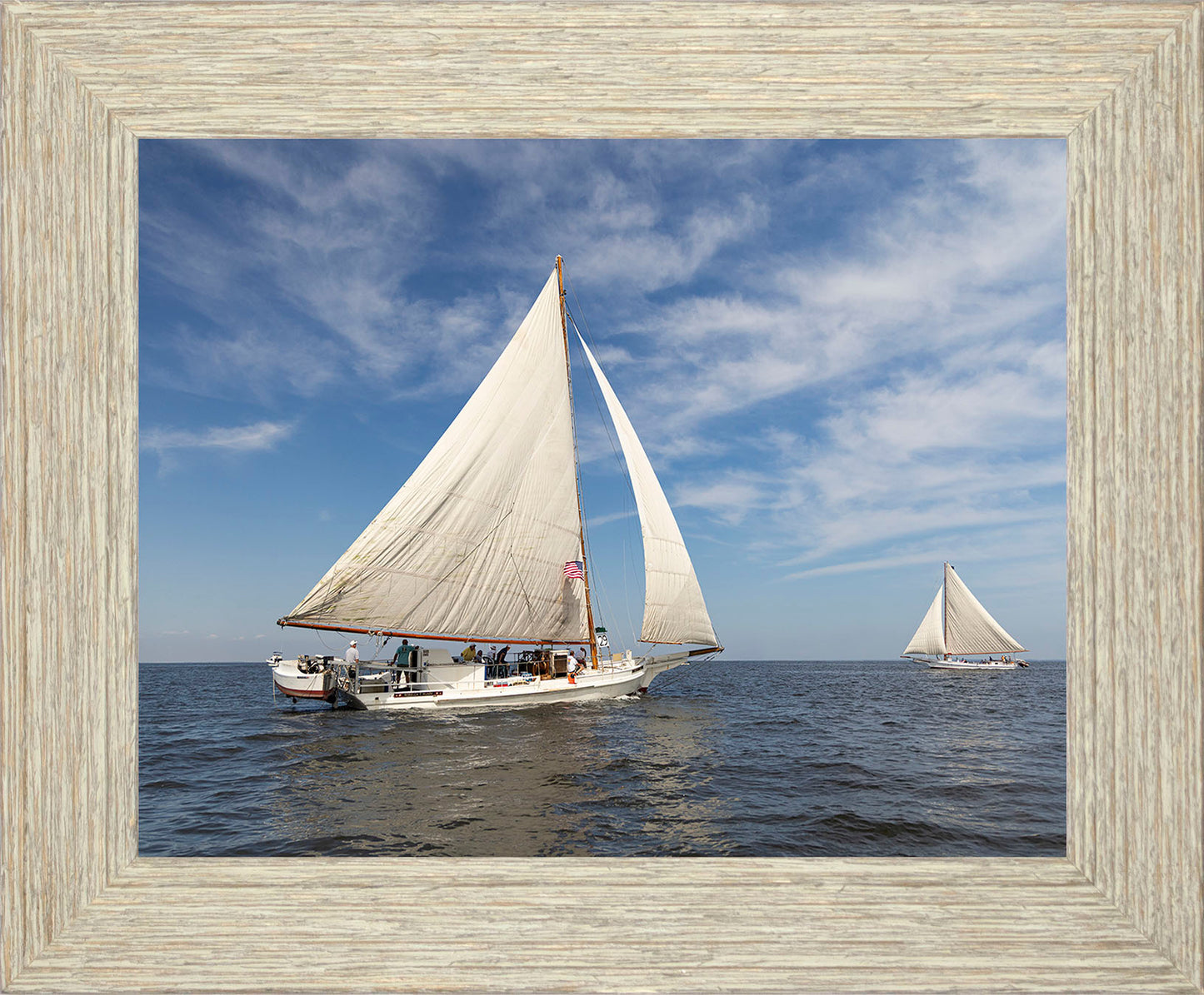 2025 Sandy Point Skipjack Races - Ruark and Rosie