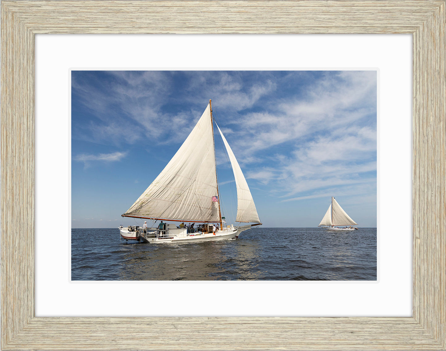 2025 Sandy Point Skipjack Races - Ruark and Rosie