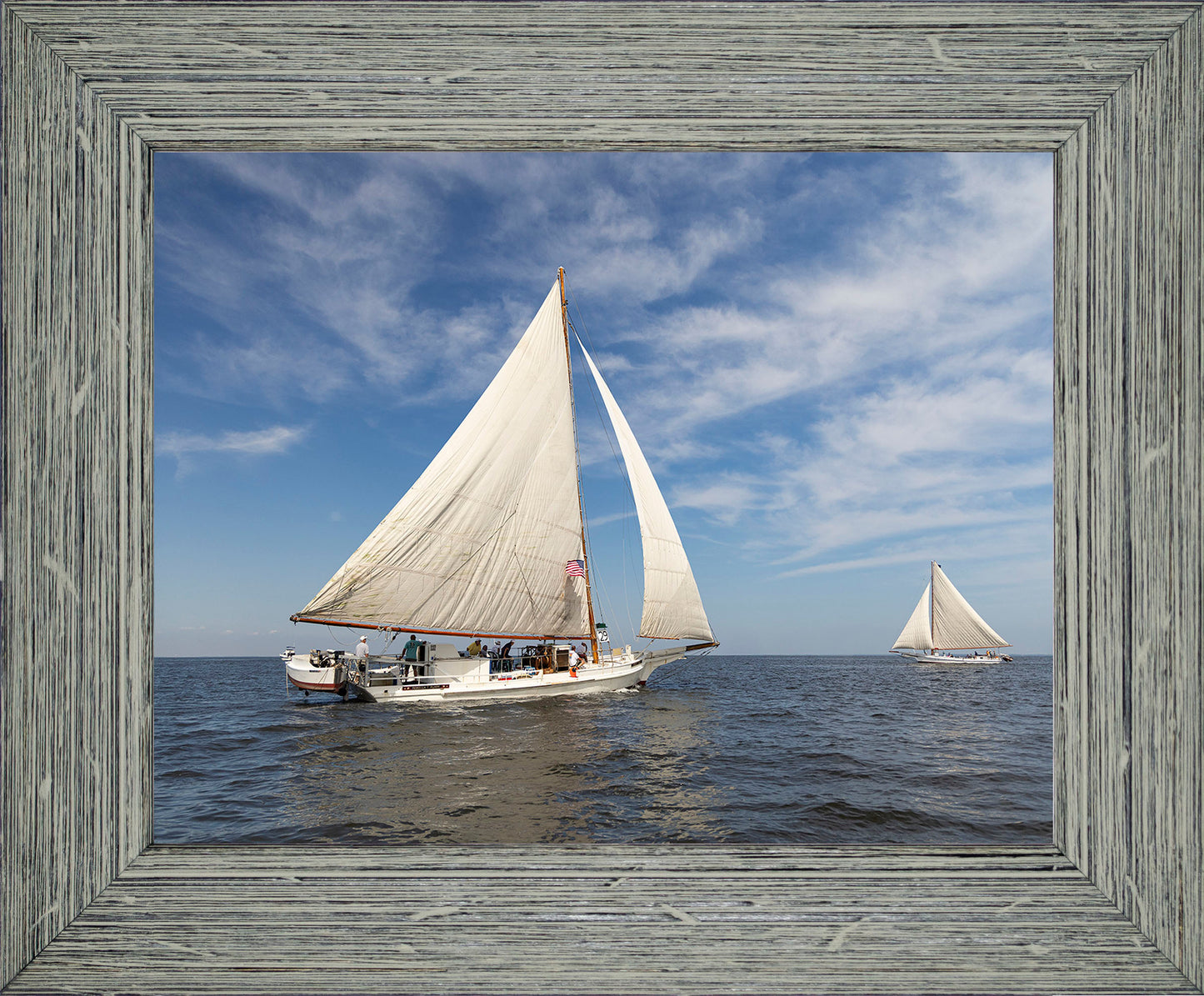 2025 Sandy Point Skipjack Races - Ruark and Rosie
