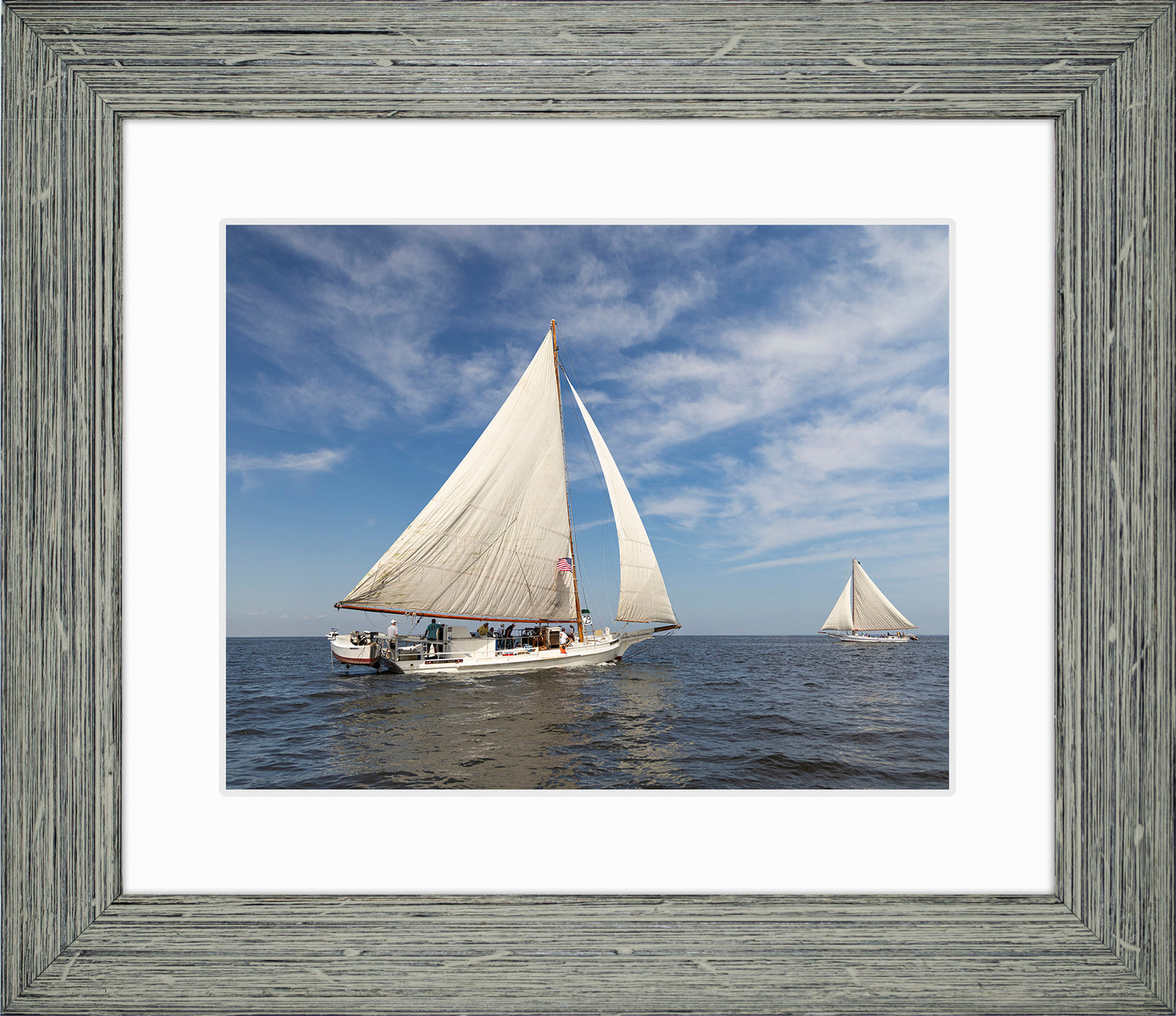 2025 Sandy Point Skipjack Races - Ruark and Rosie