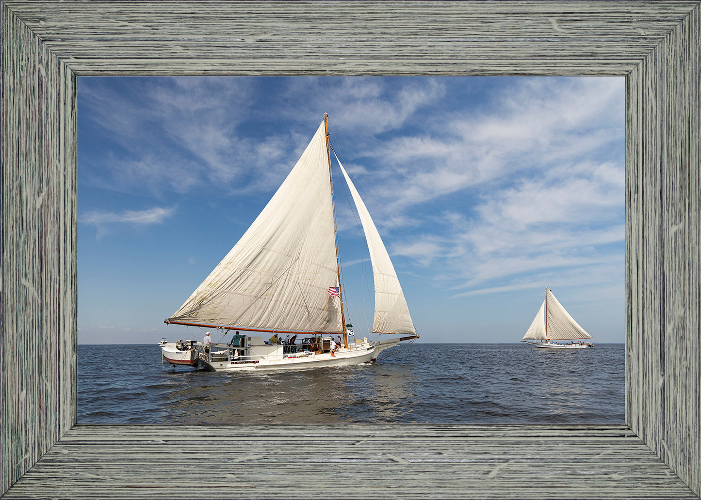 2025 Sandy Point Skipjack Races - Ruark and Rosie