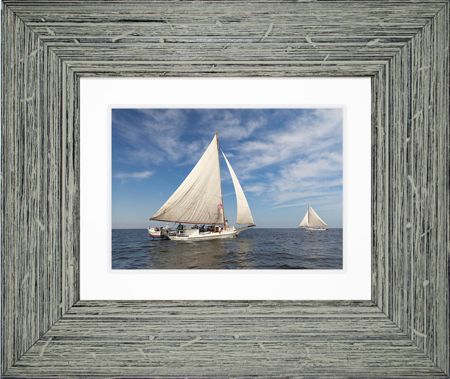 2025 Sandy Point Skipjack Races - Ruark and Rosie