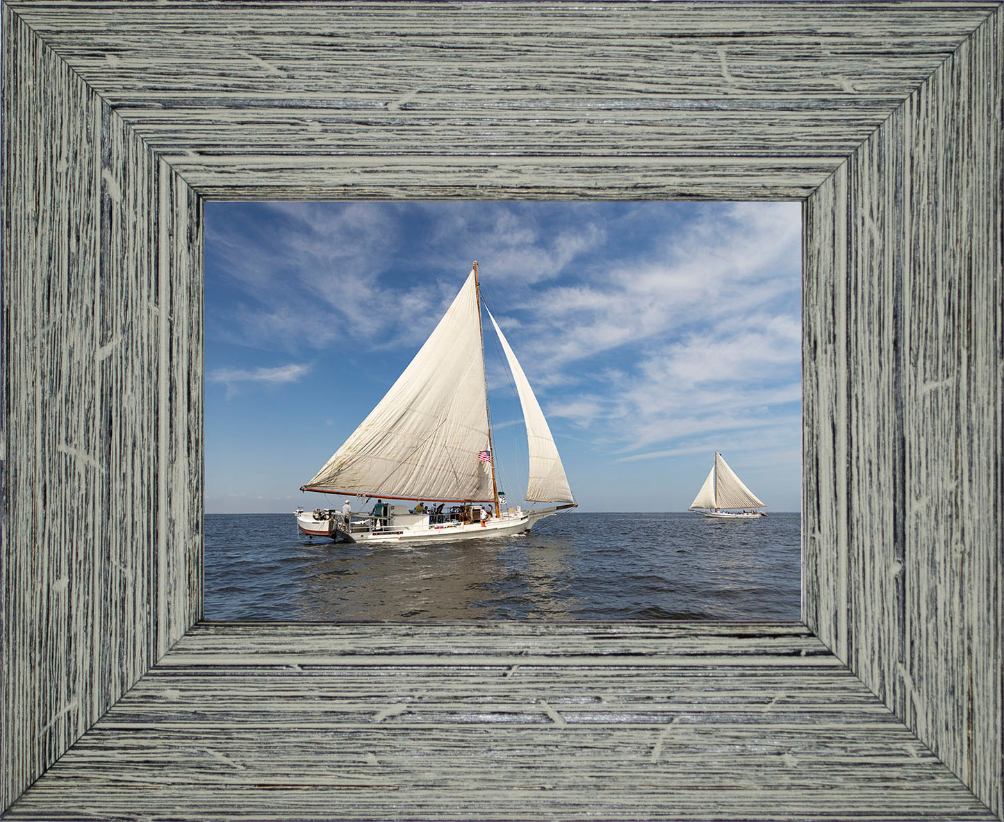2025 Sandy Point Skipjack Races - Ruark and Rosie