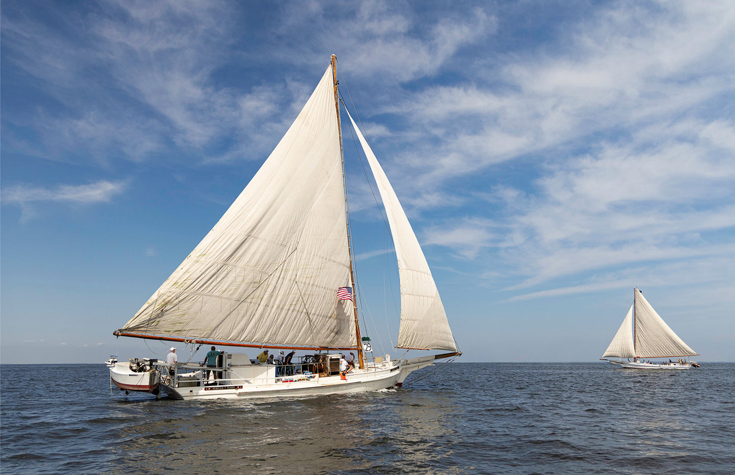 2025 Sandy Point Skipjack Races - Ruark and Rosie