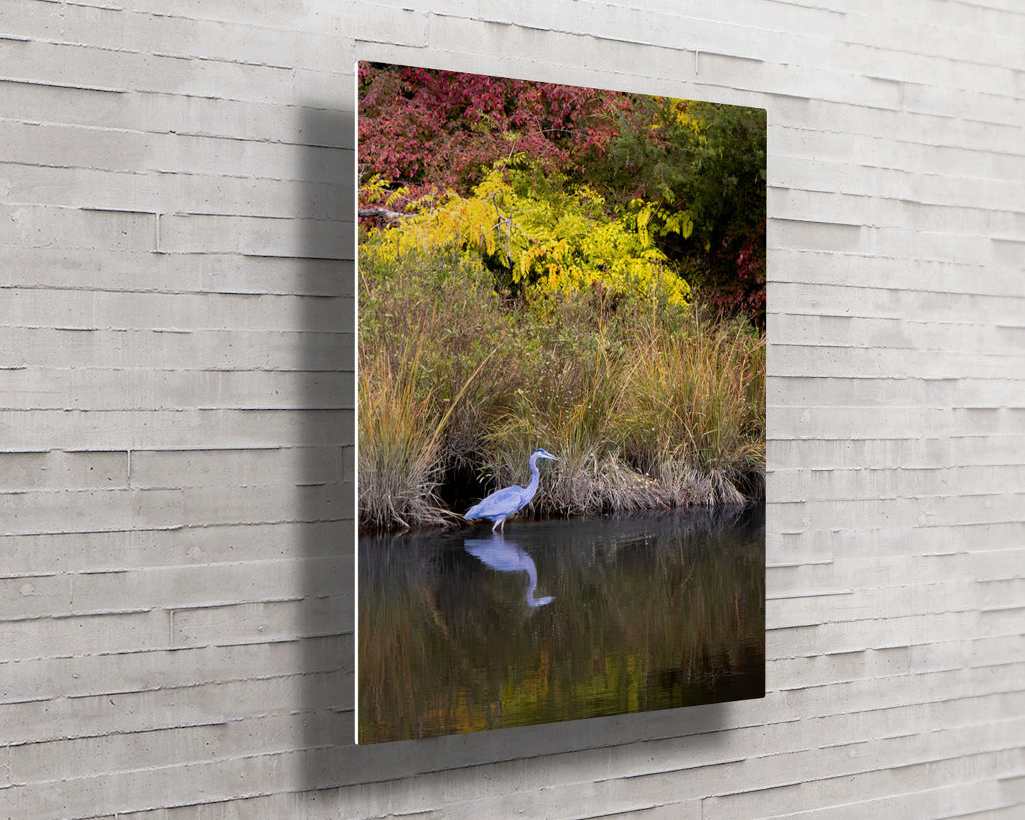 Cadle Creek Heron (Portrait) -- HD Metal