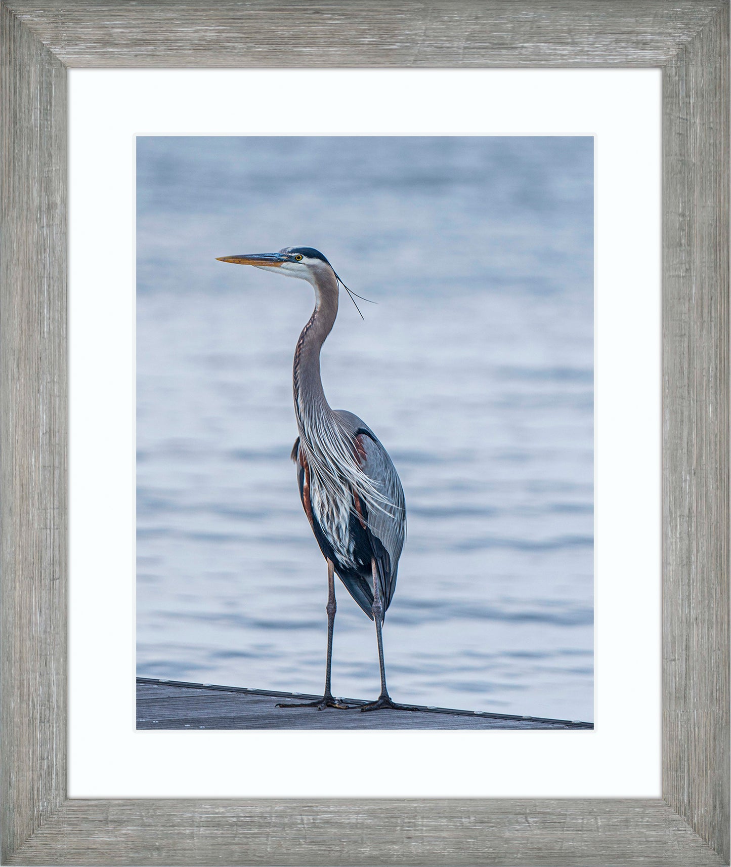 Enjoying the Breeze -- Digital Print