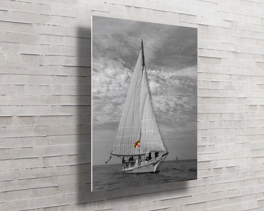 2023 Deal Island Skipjack Races - Nathan of Dorchester (Selective Color) -- HD Metal