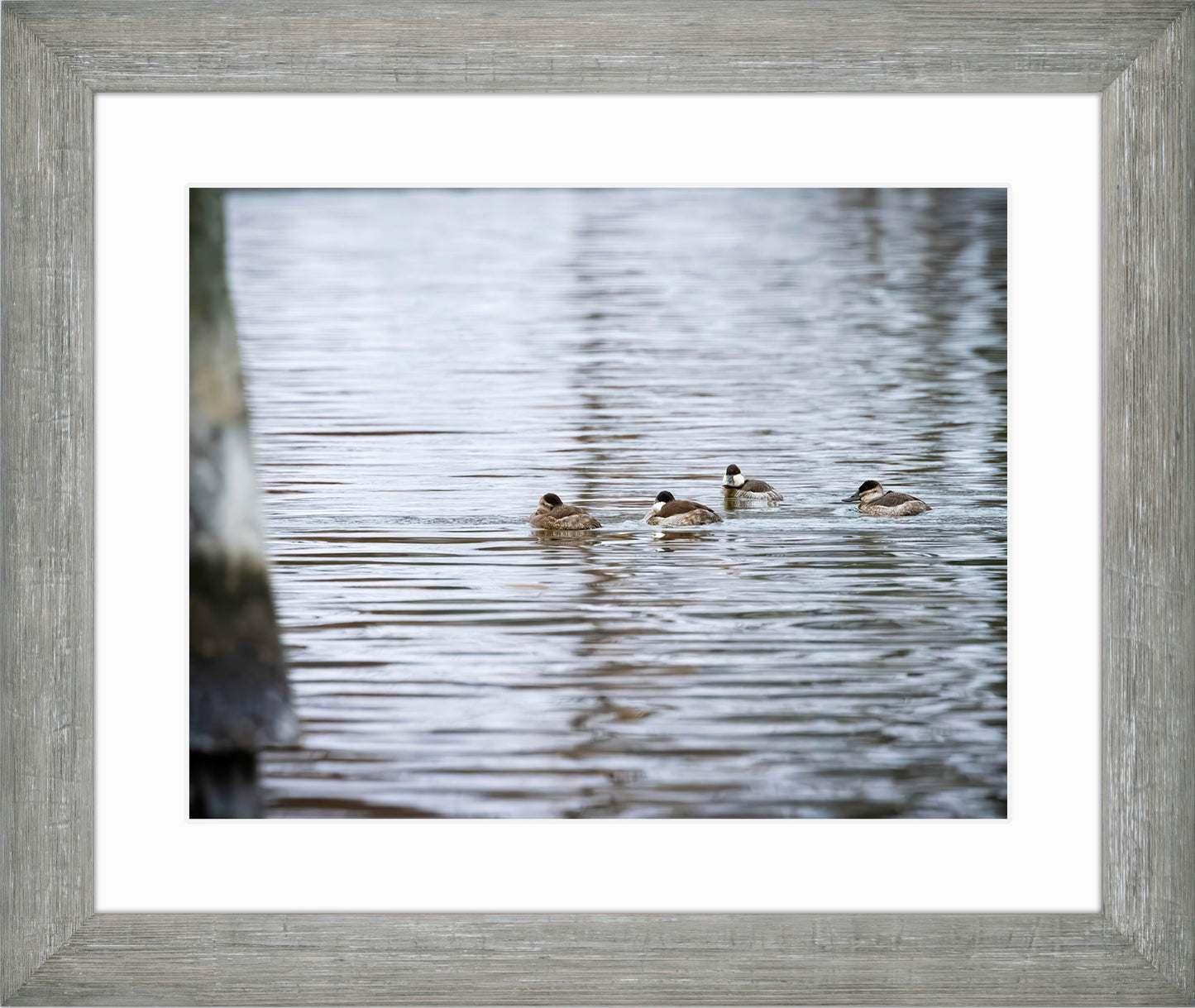 Ruddy for a Double Date