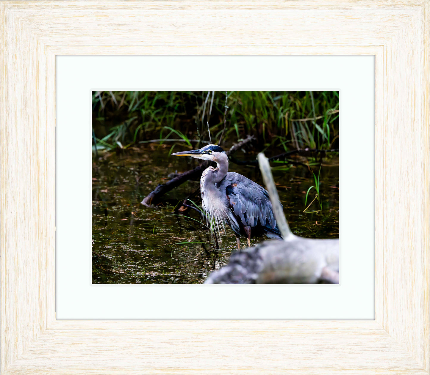 Short Stuff Behind the Log -- Digital Print