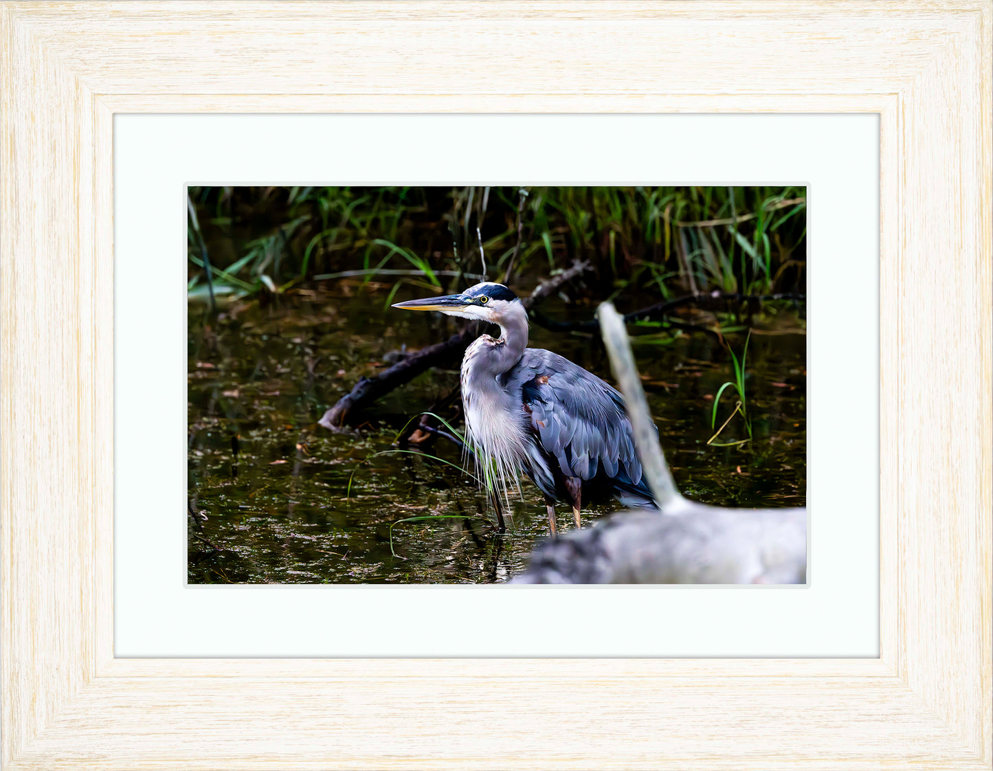 Short Stuff Behind the Log -- Digital Print