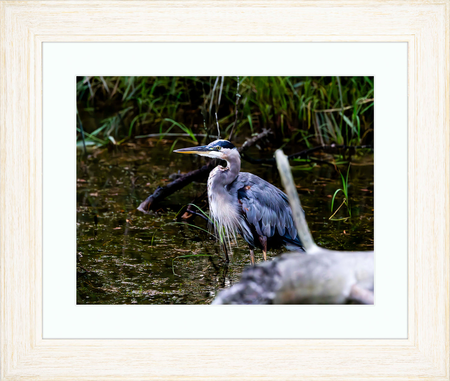 Short Stuff Behind the Log -- Digital Print