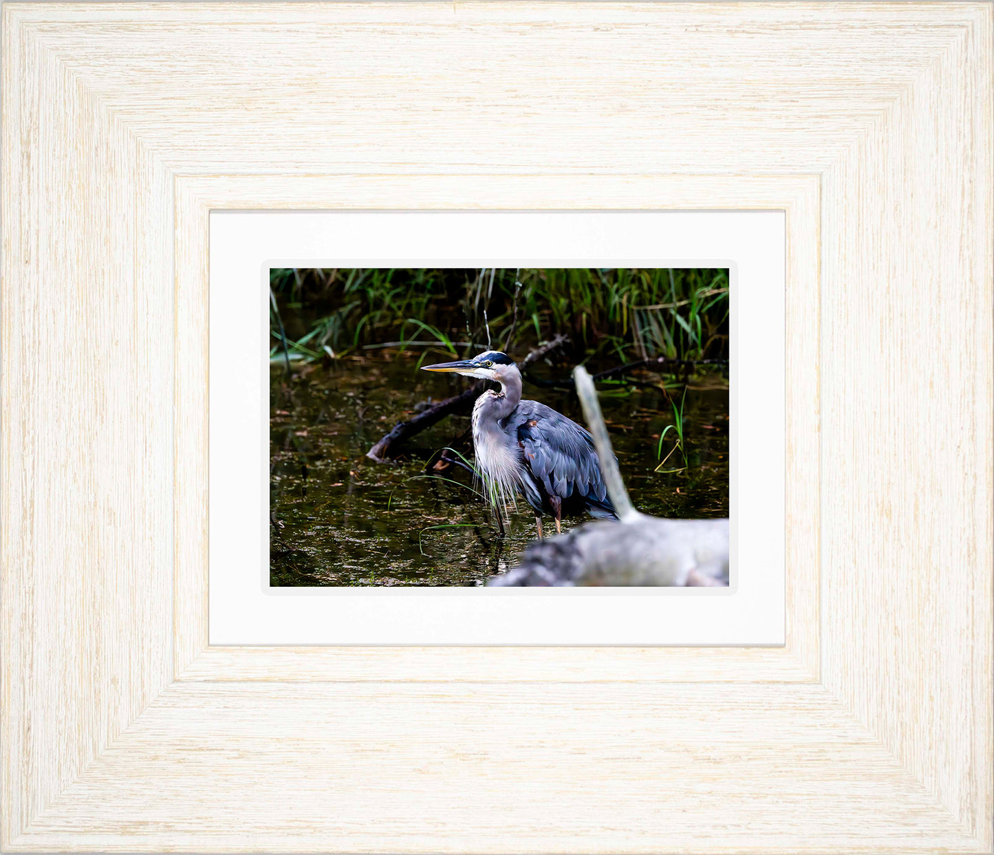 Short Stuff Behind the Log -- Digital Print