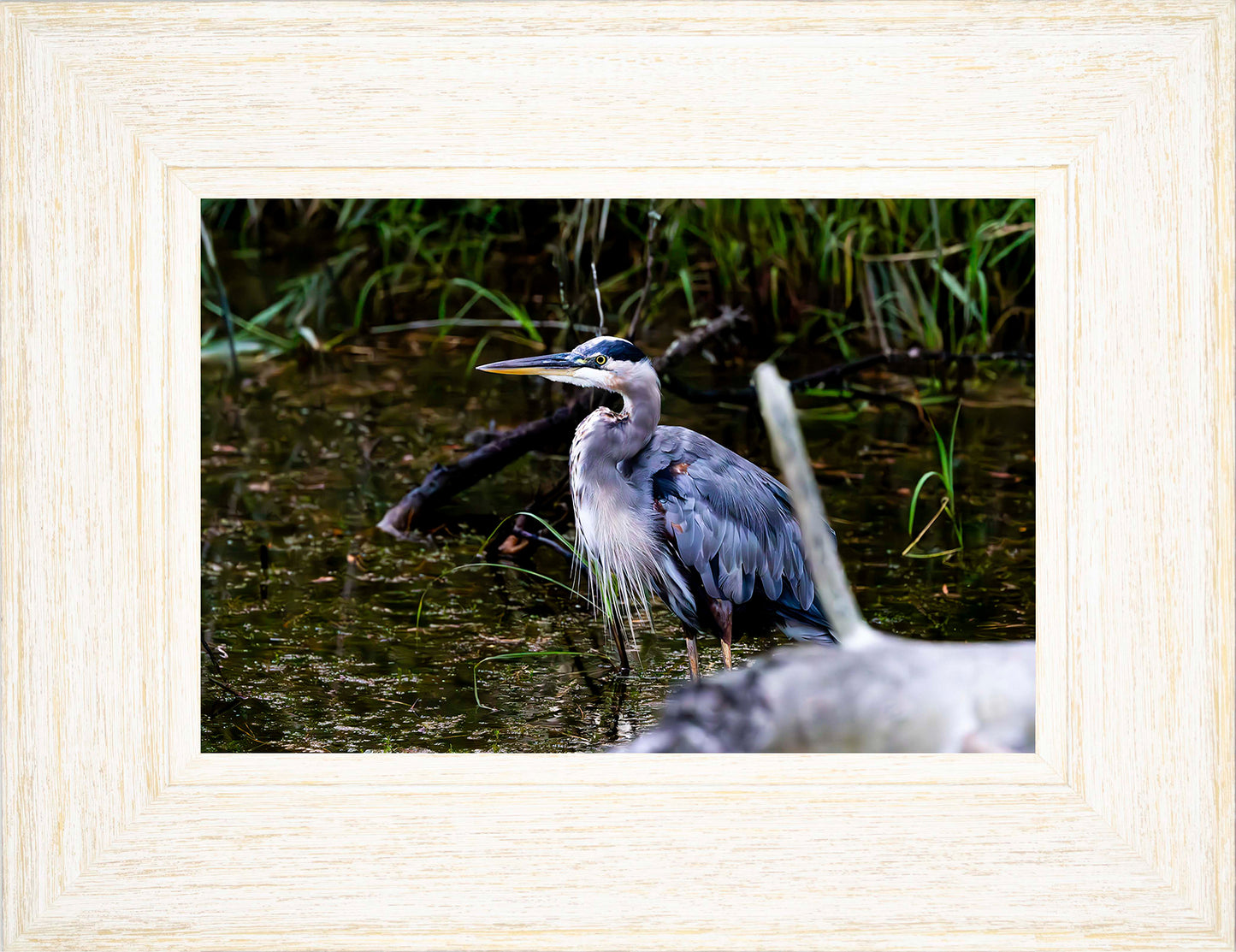 Short Stuff Behind the Log -- Digital Print