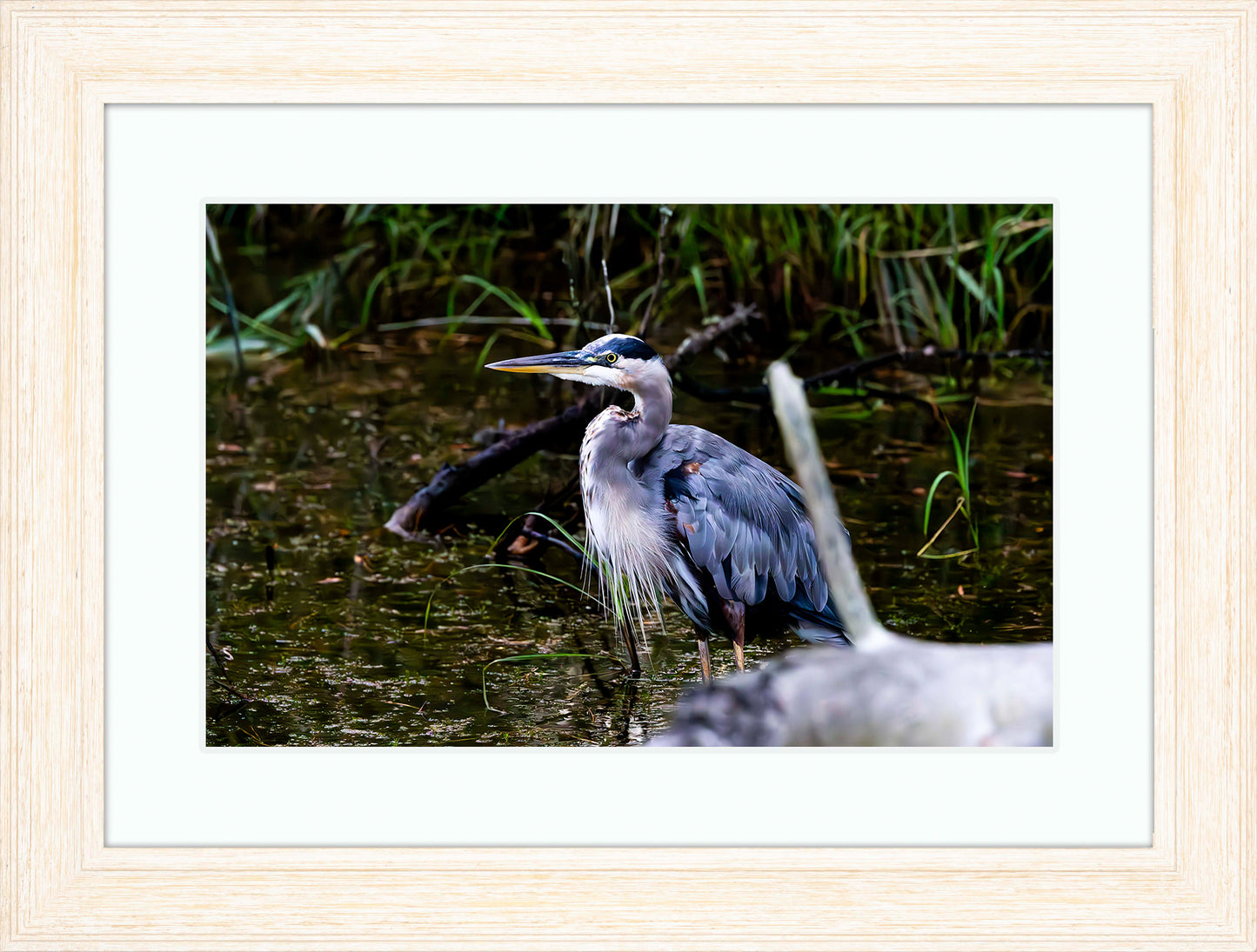 Short Stuff Behind the Log -- Digital Print
