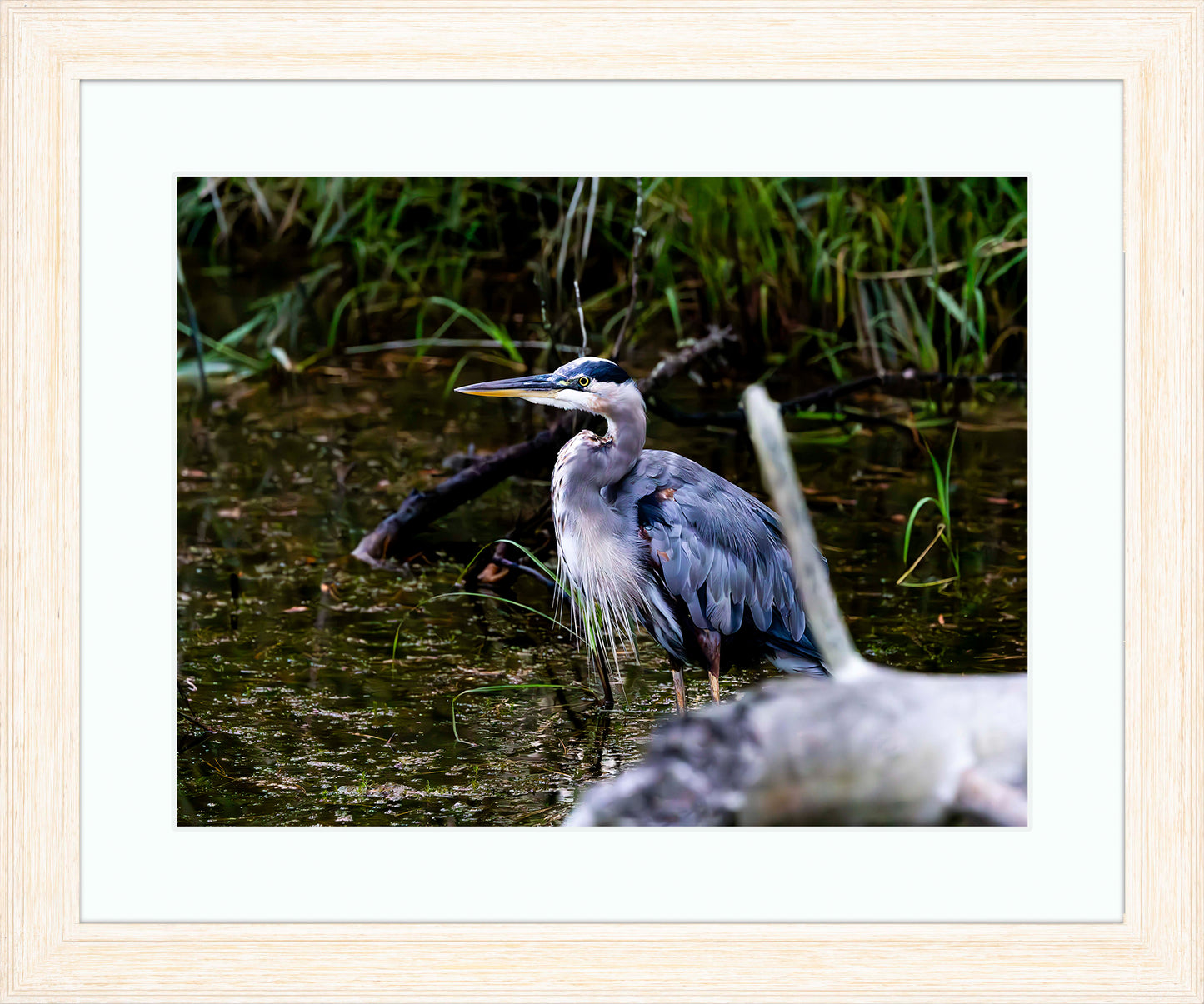 Short Stuff Behind the Log -- Digital Print