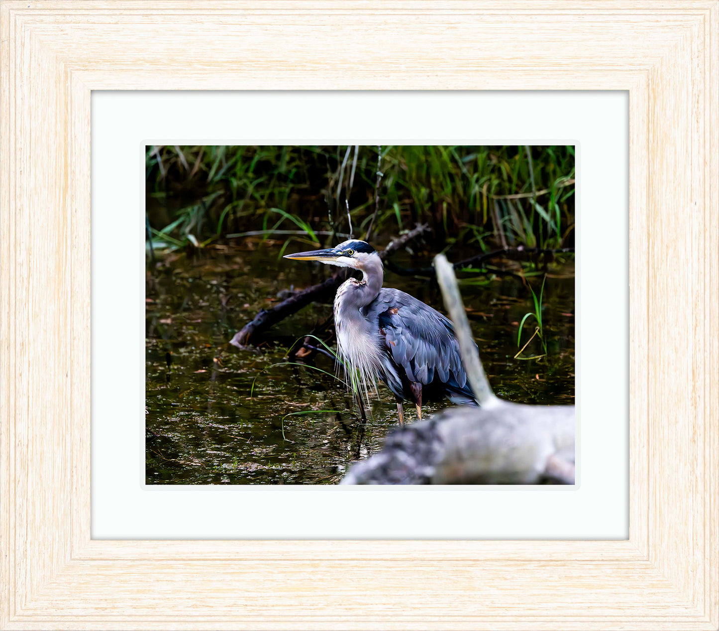 Short Stuff Behind the Log -- Digital Print