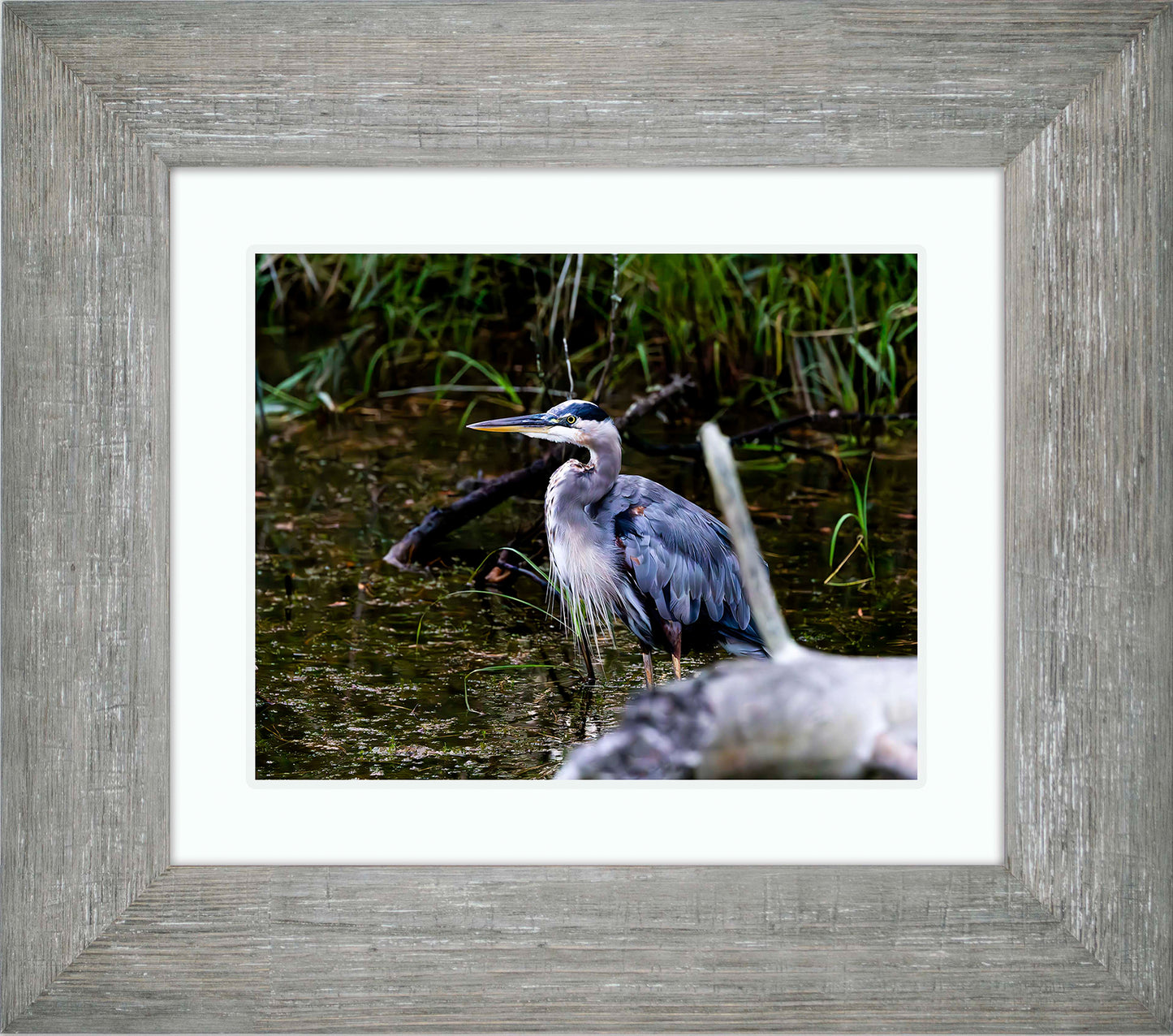 Short Stuff Behind the Log -- Digital Print