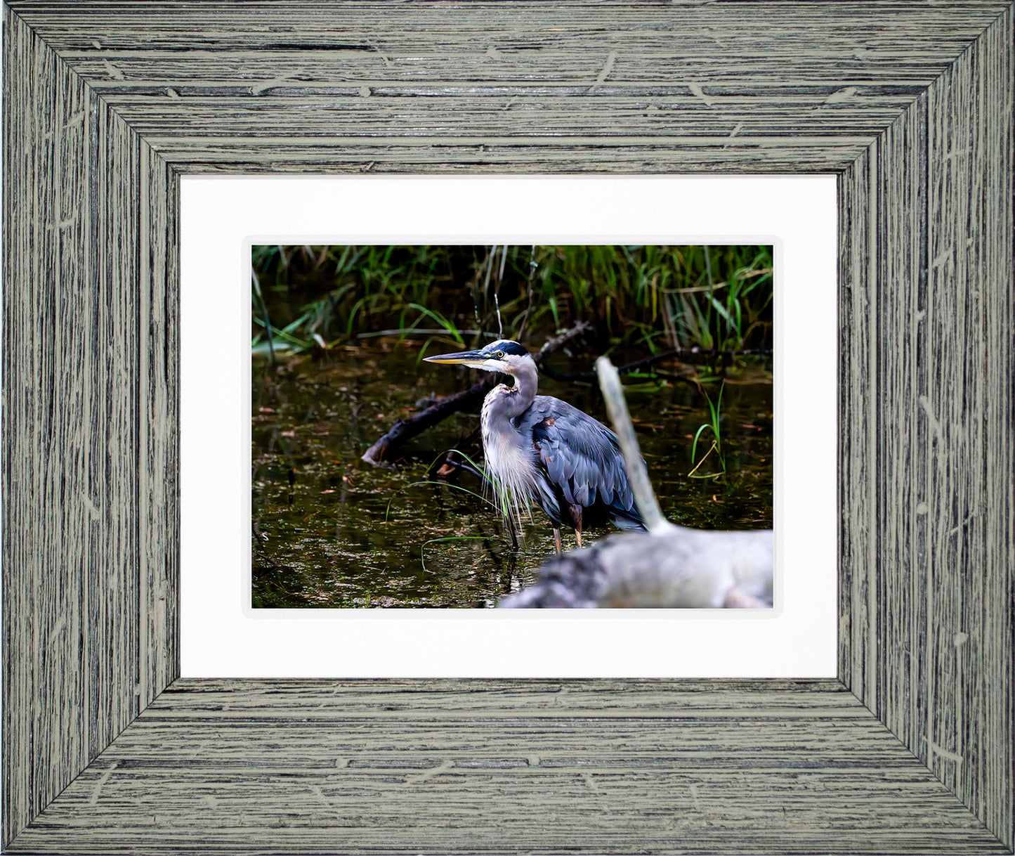 Short Stuff Behind the Log -- Digital Print