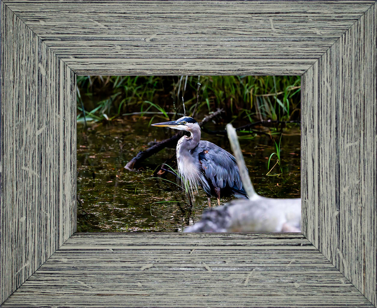 Short Stuff Behind the Log -- Digital Print