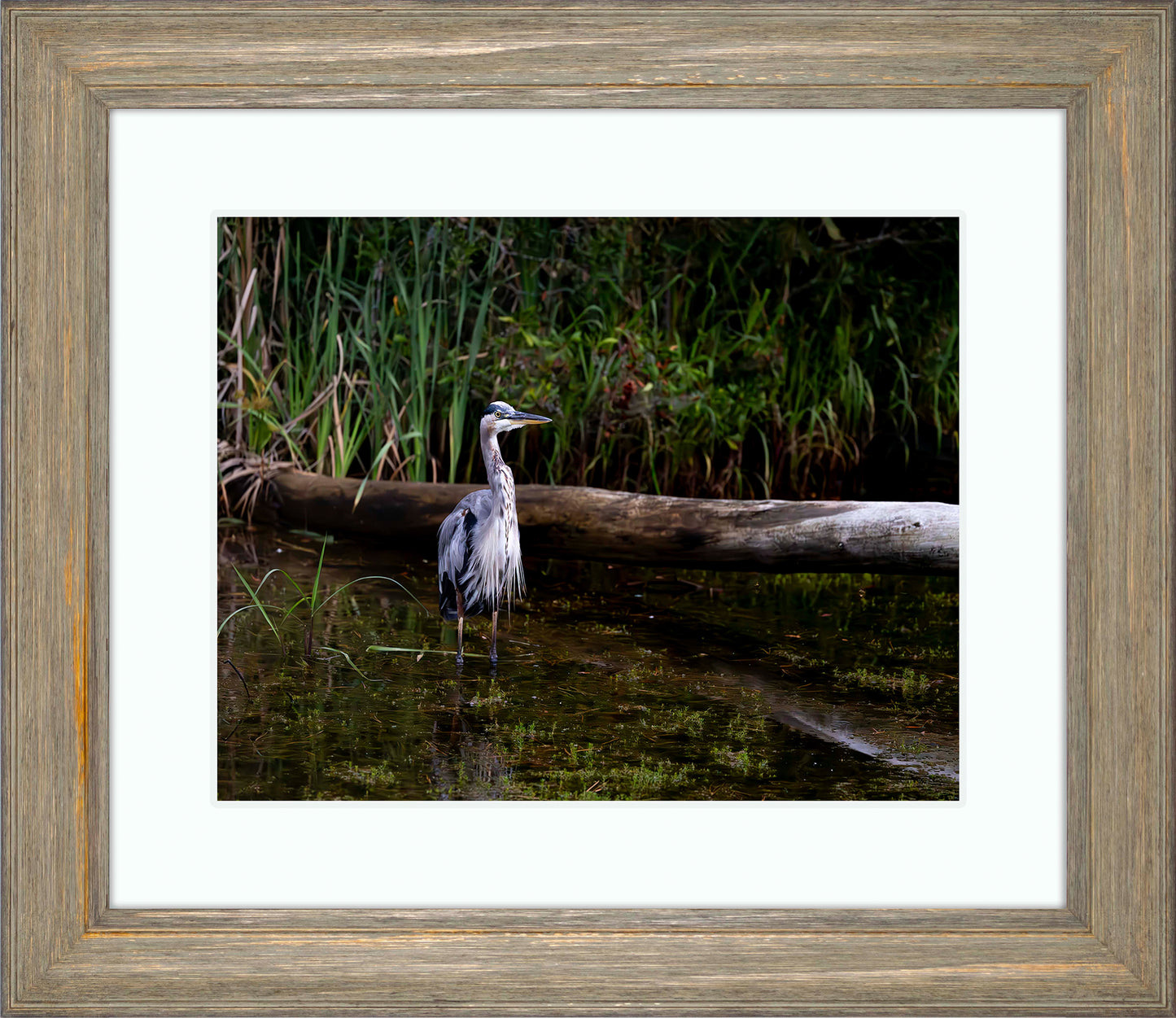 Short Stuff (Landscape) -- Digital Print