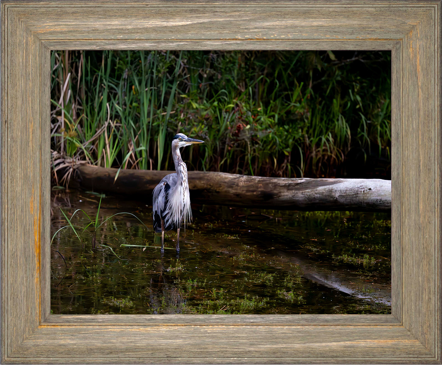 Short Stuff (Landscape) -- Digital Print