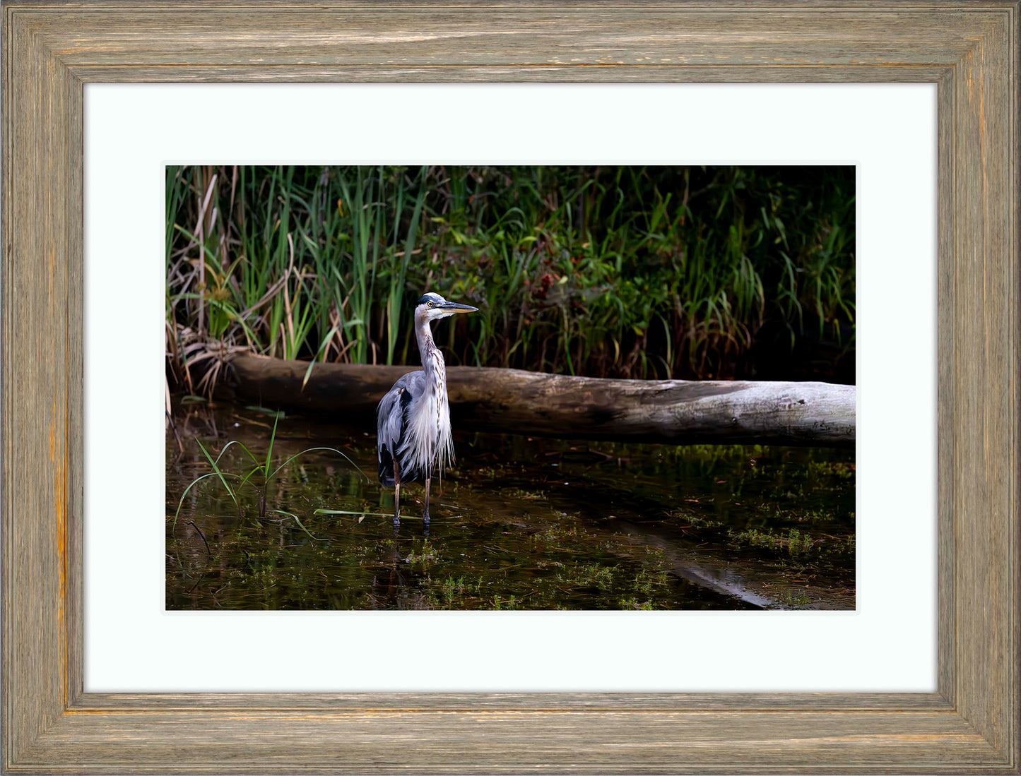 Short Stuff (Landscape) -- Digital Print