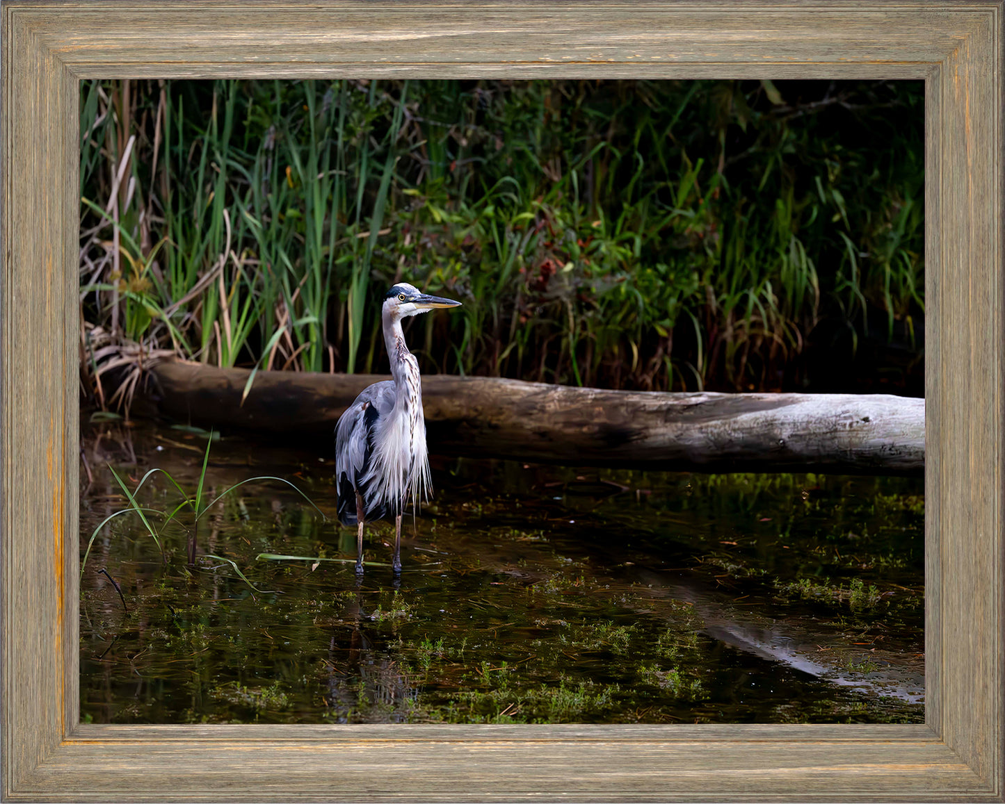 Short Stuff (Landscape) -- Digital Print