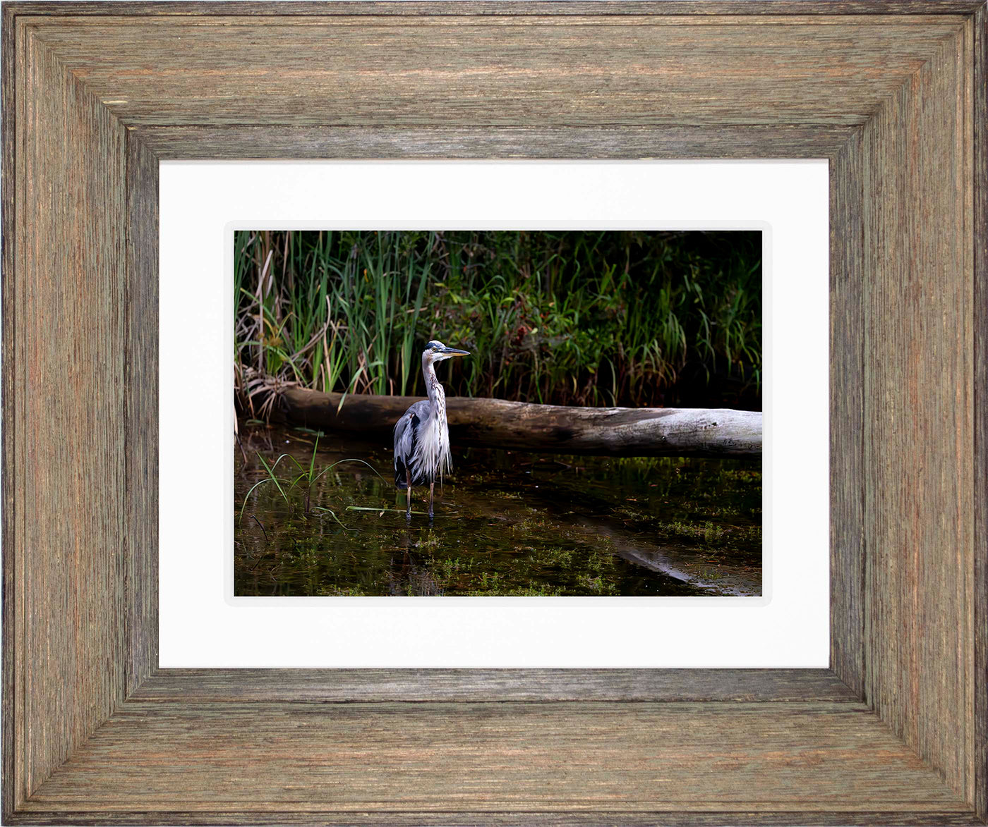 Short Stuff (Landscape) -- Digital Print