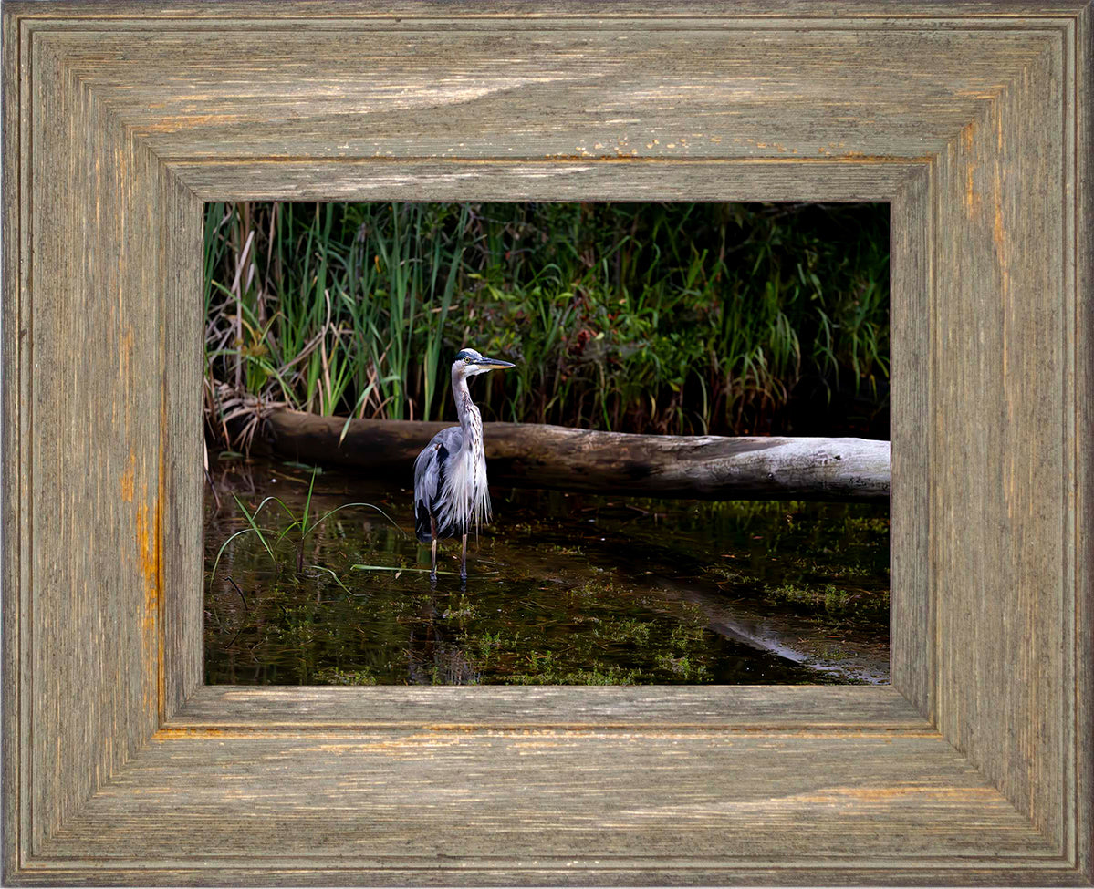 Short Stuff (Landscape) -- Digital Print