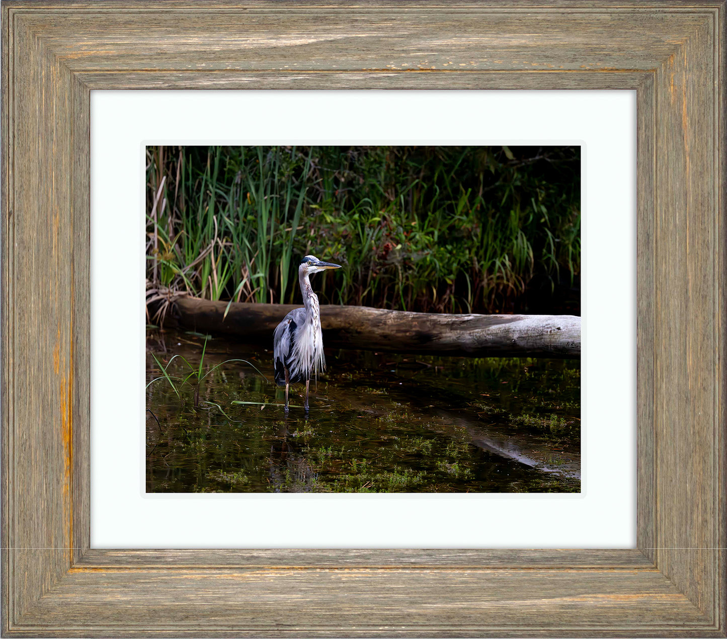 Short Stuff (Landscape) -- Digital Print