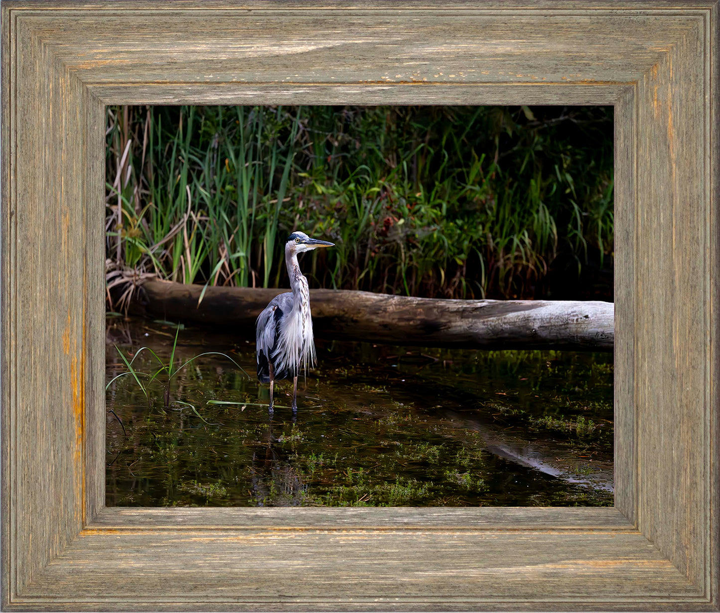 Short Stuff (Landscape) -- Digital Print