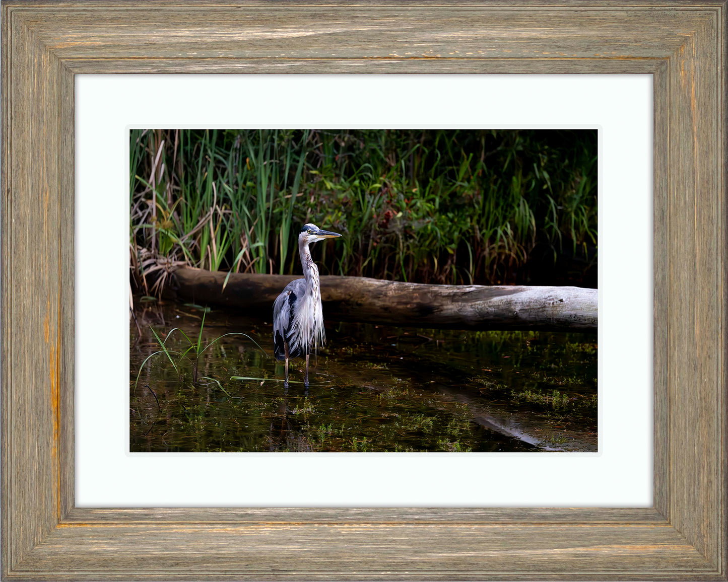 Short Stuff (Landscape) -- Digital Print