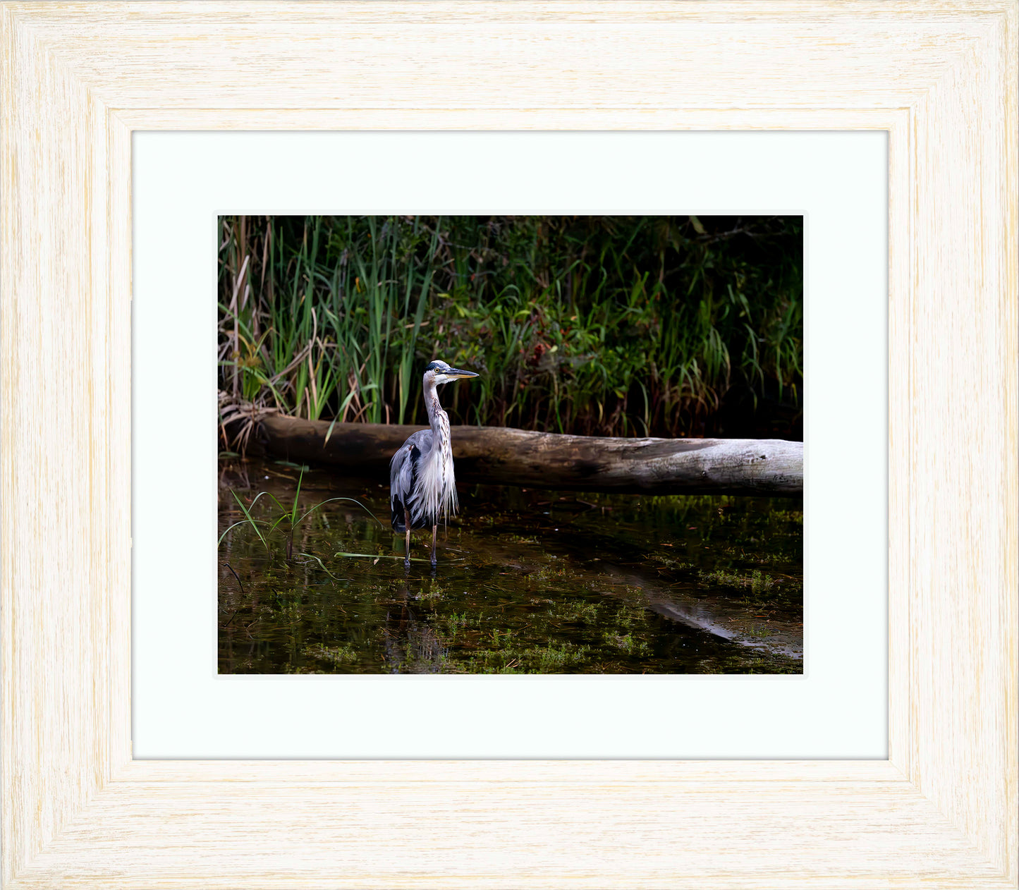 Short Stuff (Landscape) -- Digital Print