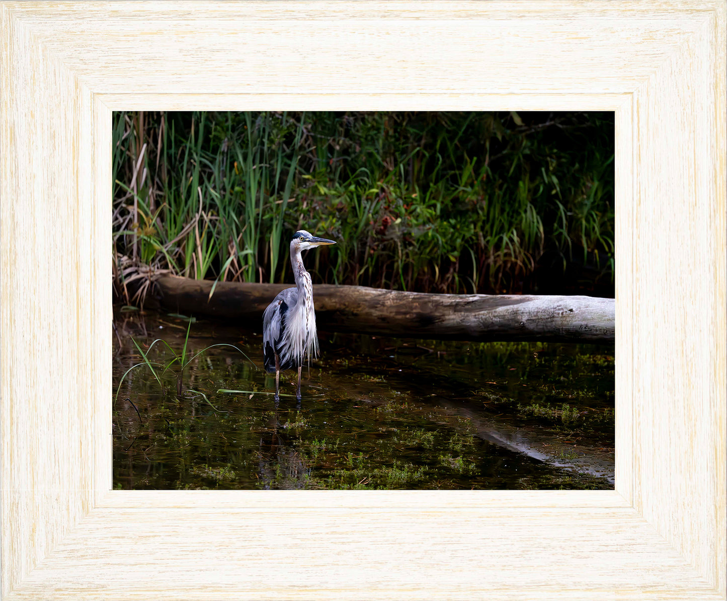 Short Stuff (Landscape) -- Digital Print