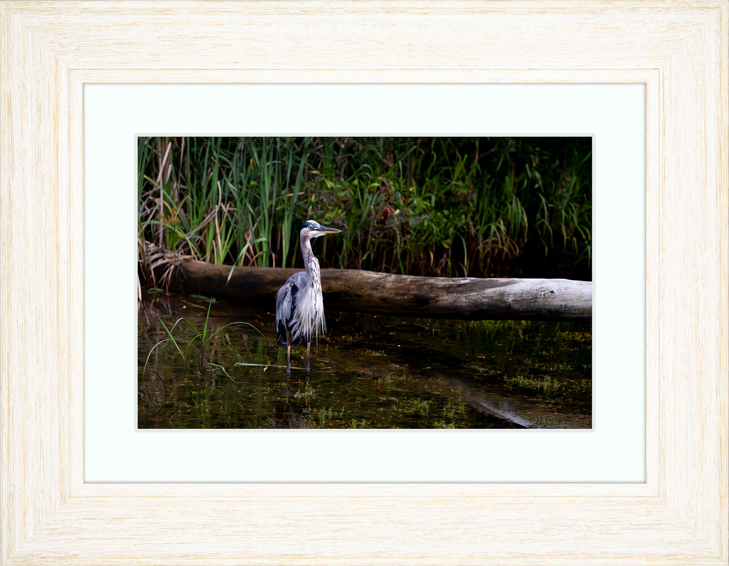 Short Stuff (Landscape) -- Digital Print